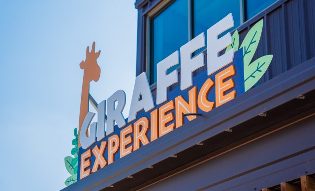 Metal sign with words saying "Giraffe Experience" with a giraffe head and plants.
