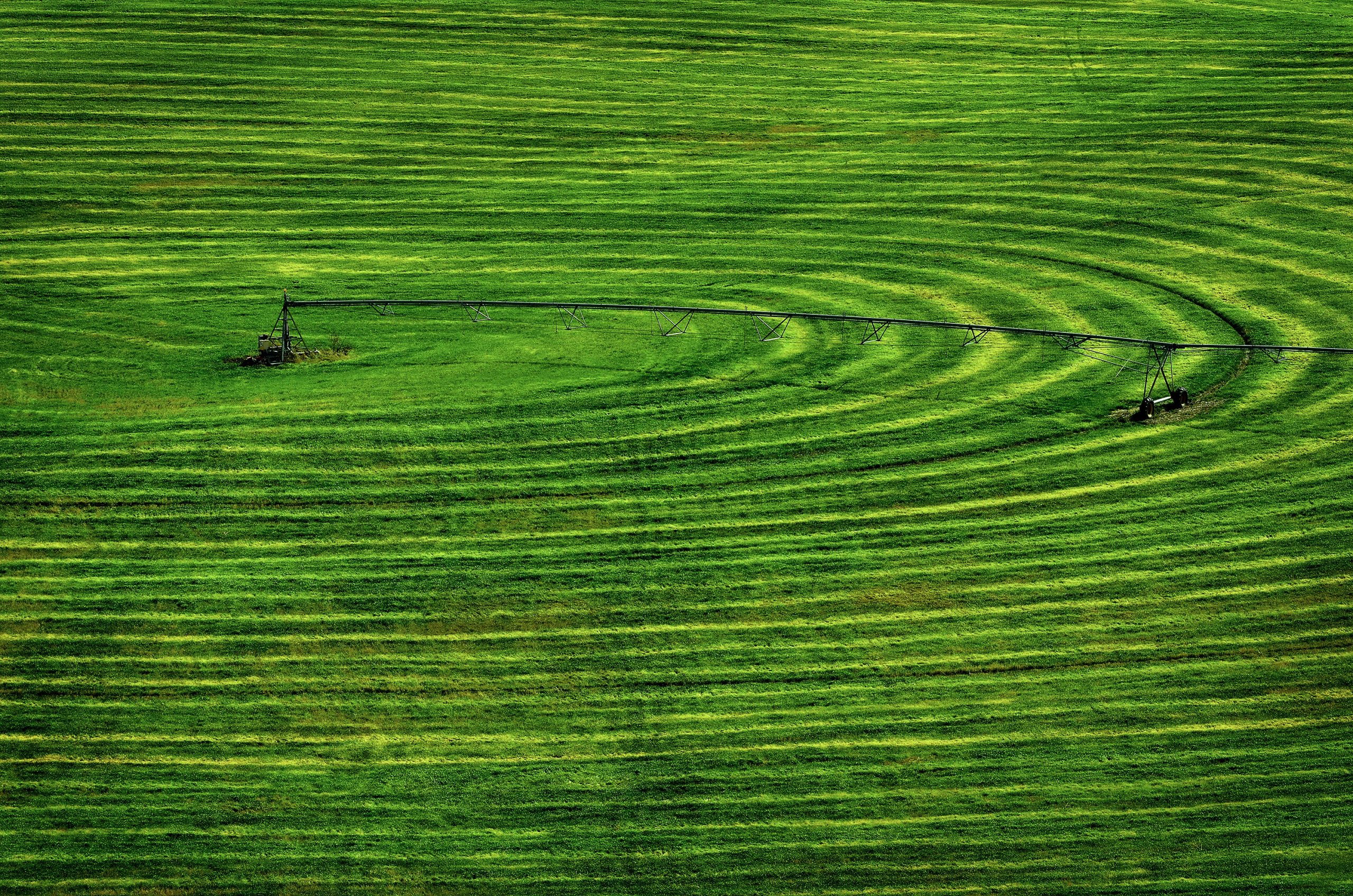 Ariel view of farm field with circle pivot irrigation sprinkler.