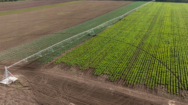 Aerial view of Modern pivot irrigation system in soybean field.